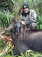 Justin's Tahr in the southern Alps, New Zealand